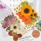 100-Piece Colorful Dried Pressed Flowers for Crafts – Real Mixed Daisy Flowers & Leaves for Resin, Jewelry, Nail Art, Candle, Soap, Scrapbooking, and DIY Projects